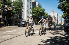 Tour de bicicleta pelos Bosques de Palermo + Caiaque no Tigre