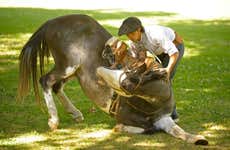 Experiência gaúcha em San Antonio de Areco